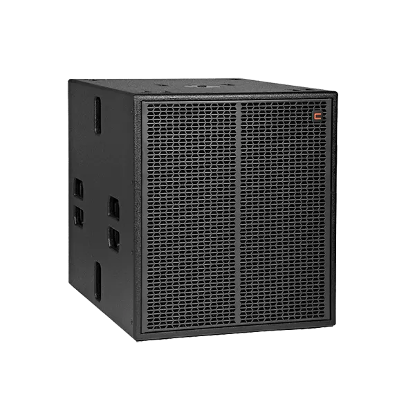Loa CELTO CSW118