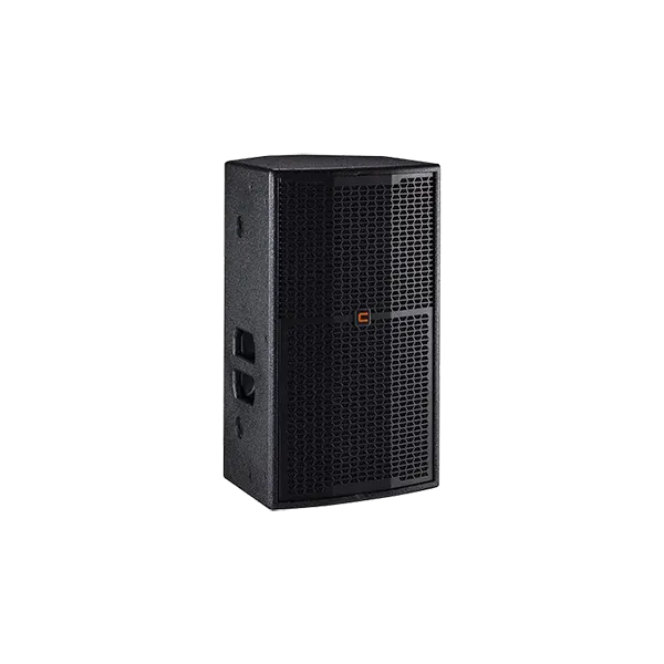 Loa CELTO VT12