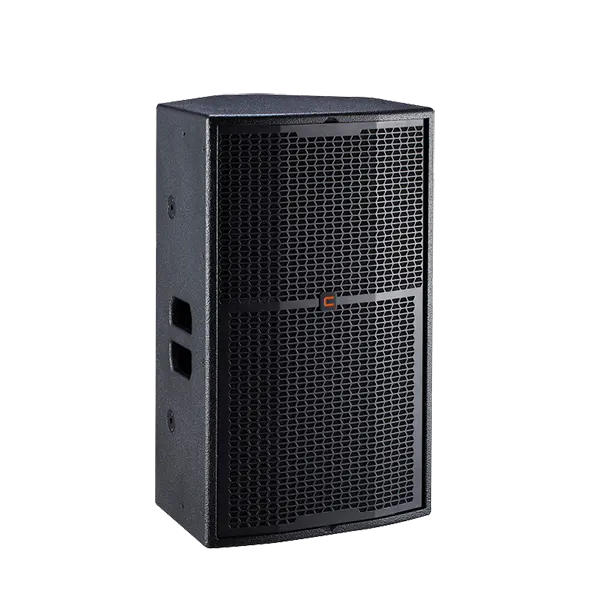 Loa CELTO VT15