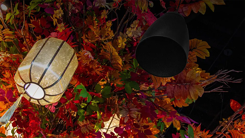 Image hover effect image